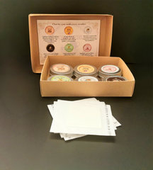 Taster Box of 6 Instant Chai Mixes – Just Add Hot Water