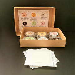 Taster Box of 6 Instant Chai Mixes